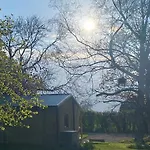 Meadows Йорк
