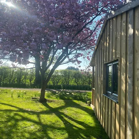 Meadows