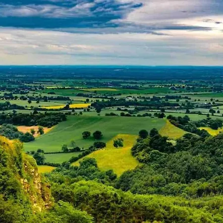 Meadows * York