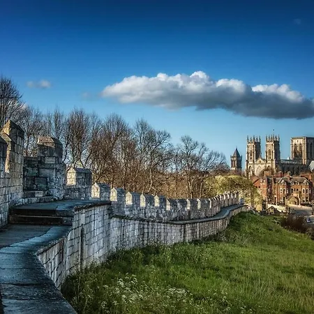 Vakantiehuis Meadows York