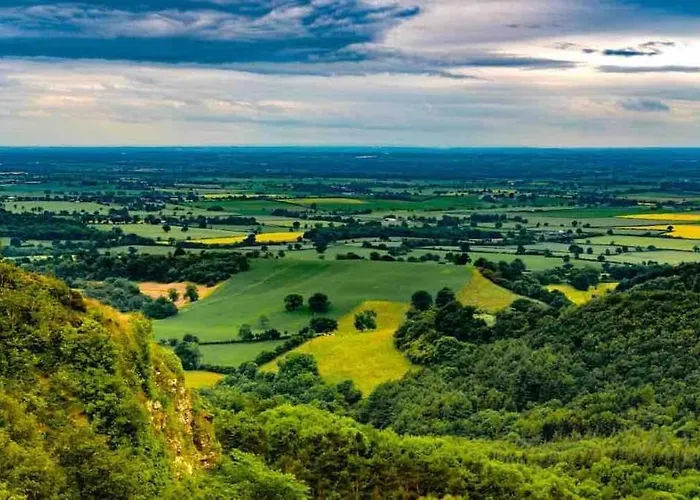 Meadows * York